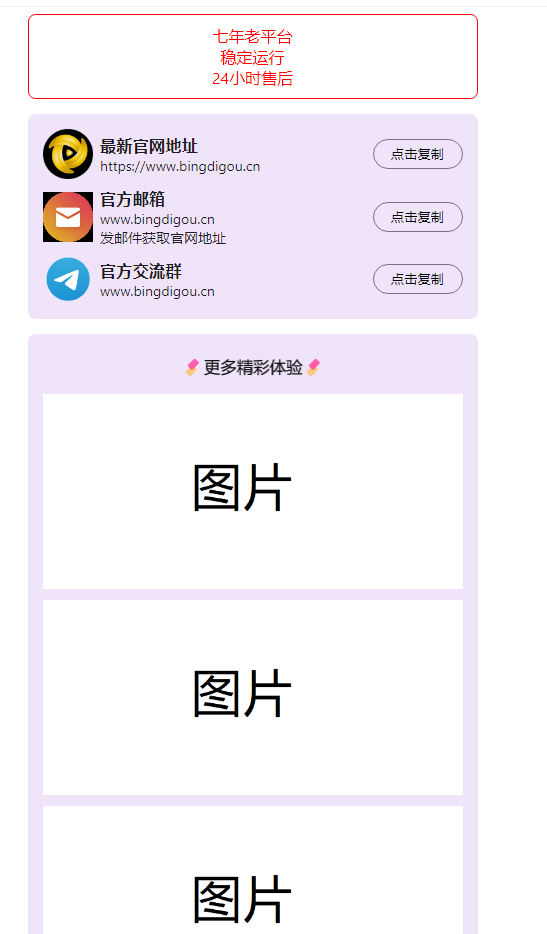 【X1011】2024首发最火的软件宣传单页源码-冰蒂购源码论坛